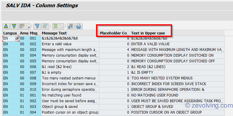 SALV_IDA_Column_Setting_Output